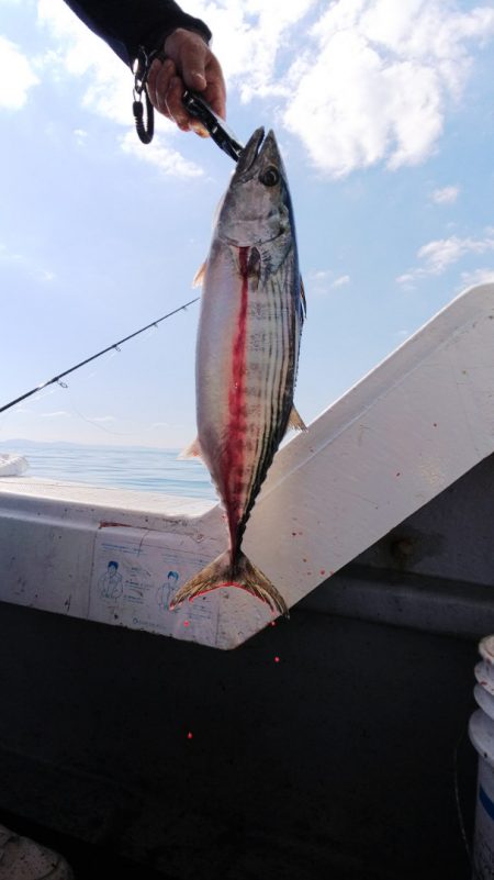 第二龍勢丸 釣果