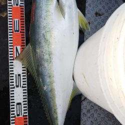 第二龍勢丸 釣果