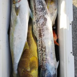 第二龍勢丸 釣果