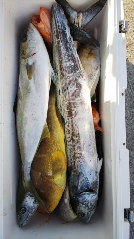 第二龍勢丸 釣果