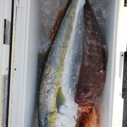 第二龍勢丸 釣果