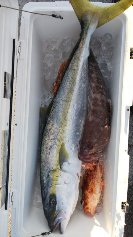 第二龍勢丸 釣果