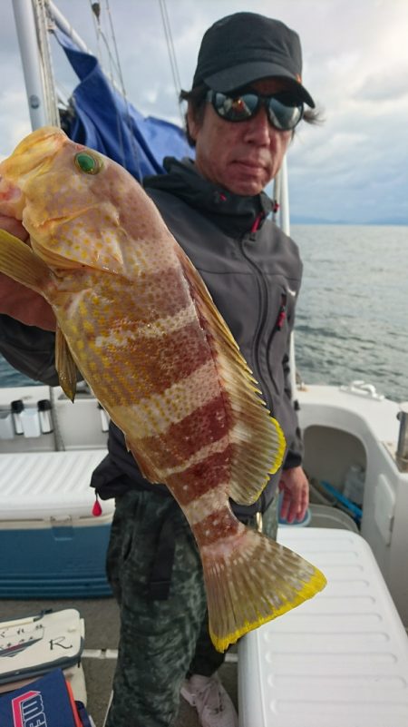 ARCADIAⅡ (アルカディアⅡ) 釣果