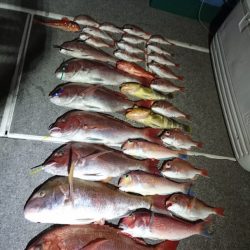 ARCADIAⅡ (アルカディアⅡ) 釣果