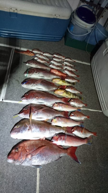 ARCADIAⅡ (アルカディアⅡ) 釣果