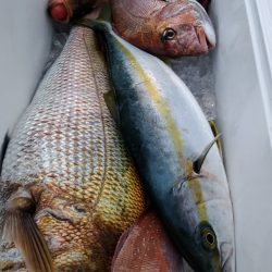 LUSTER『ラスター』 釣果