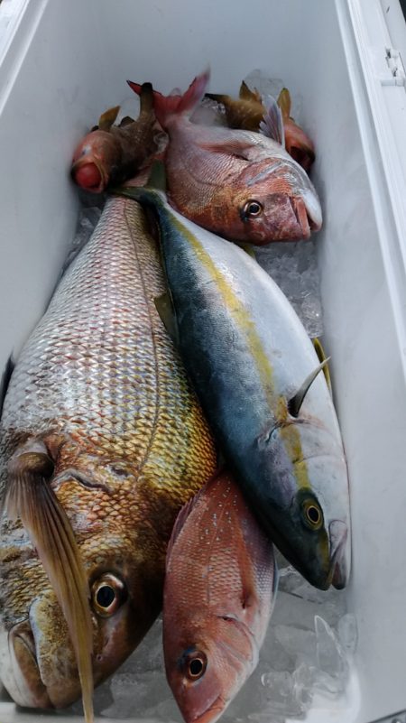 LUSTER『ラスター』 釣果