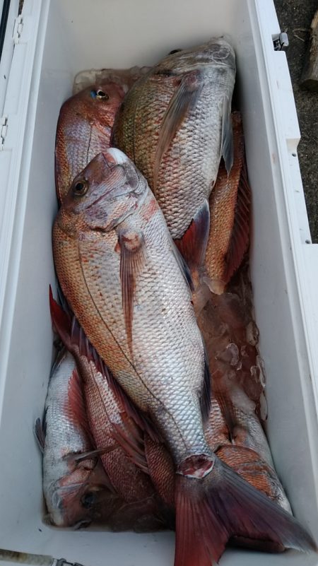 LUSTER『ラスター』 釣果