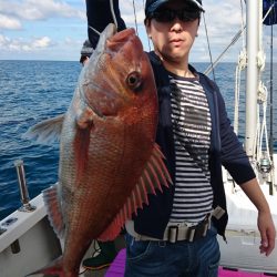 ARCADIAⅡ (アルカディアⅡ) 釣果