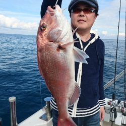 ARCADIAⅡ (アルカディアⅡ) 釣果