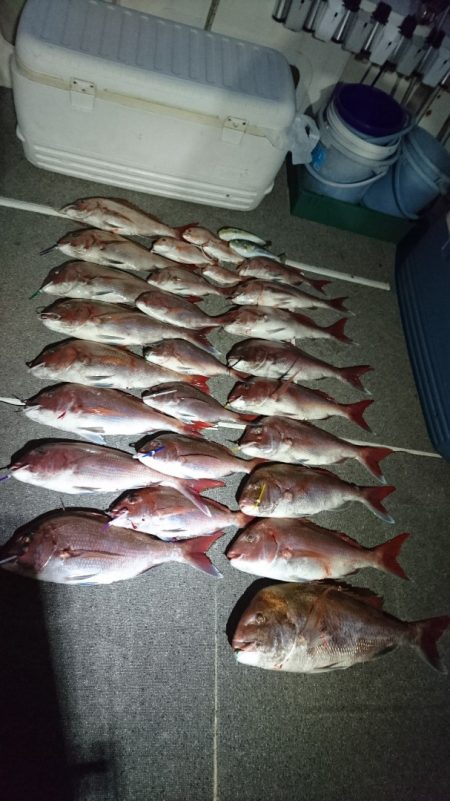 ARCADIAⅡ (アルカディアⅡ) 釣果