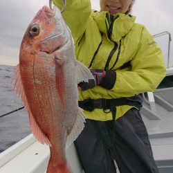 だて丸 釣果