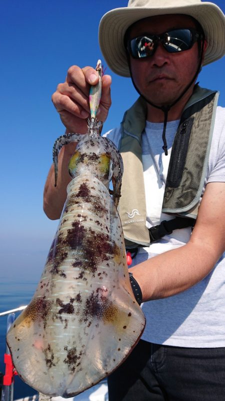 シースナイパー海龍 釣果