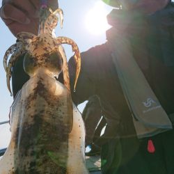 シースナイパー海龍 釣果