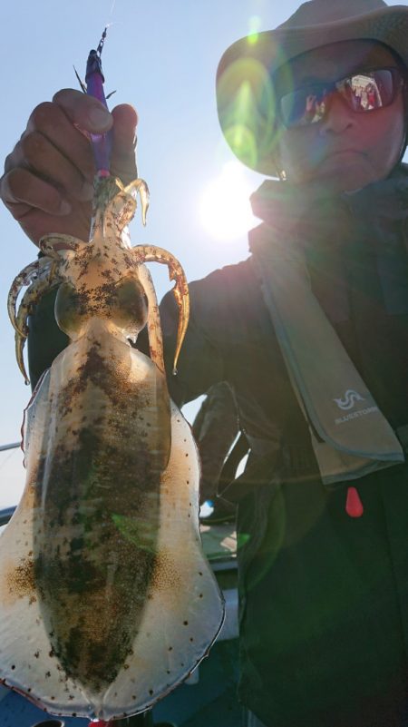 シースナイパー海龍 釣果
