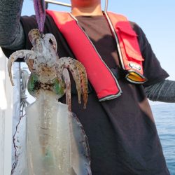 シースナイパー海龍 釣果