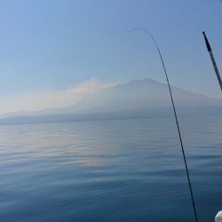 シースナイパー海龍 釣果