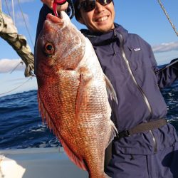 だて丸 釣果