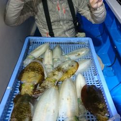 第三共栄丸 釣果