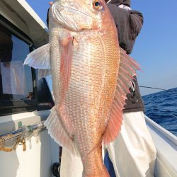 だて丸 釣果