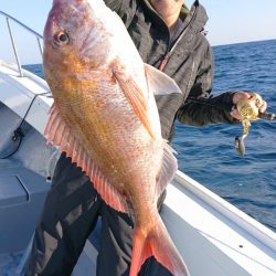 だて丸 釣果