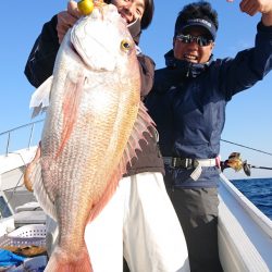 だて丸 釣果