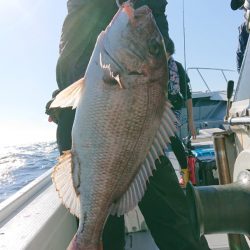 だて丸 釣果