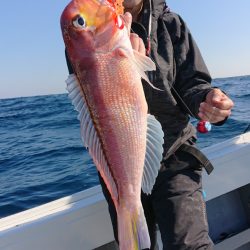 だて丸 釣果