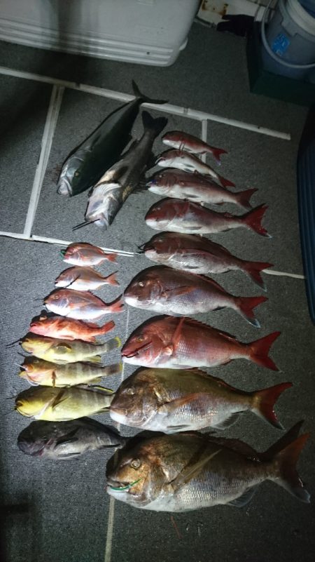 ARCADIAⅡ (アルカディアⅡ) 釣果