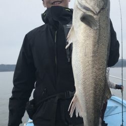 アマテラス 釣果