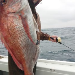 だて丸 釣果