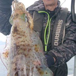 シースナイパー海龍 釣果