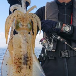 シースナイパー海龍 釣果