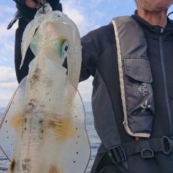 シースナイパー海龍 釣果