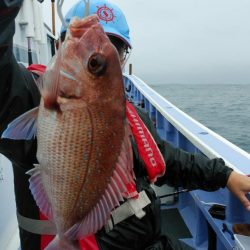 新幸丸 釣果