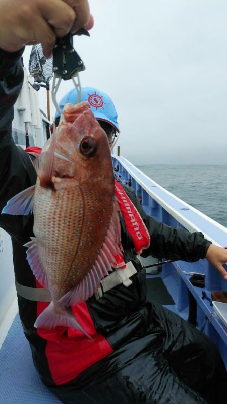 新幸丸 釣果