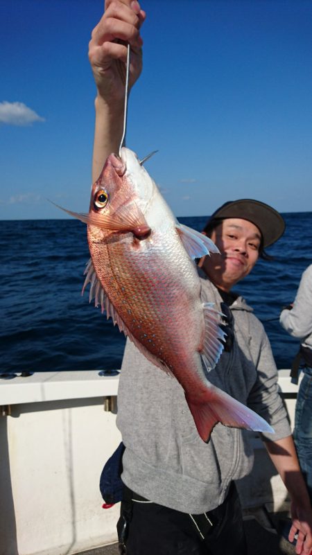 ARCADIAⅡ (アルカディアⅡ) 釣果