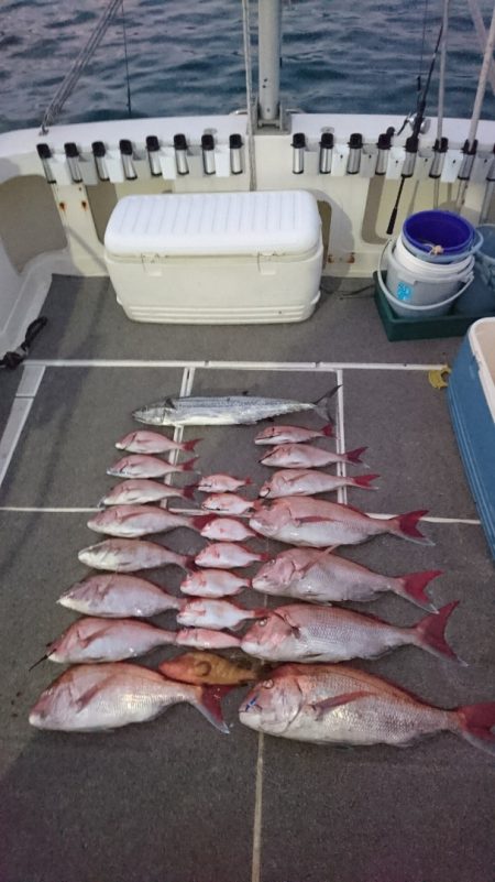 ARCADIAⅡ (アルカディアⅡ) 釣果