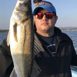 アマテラス 釣果