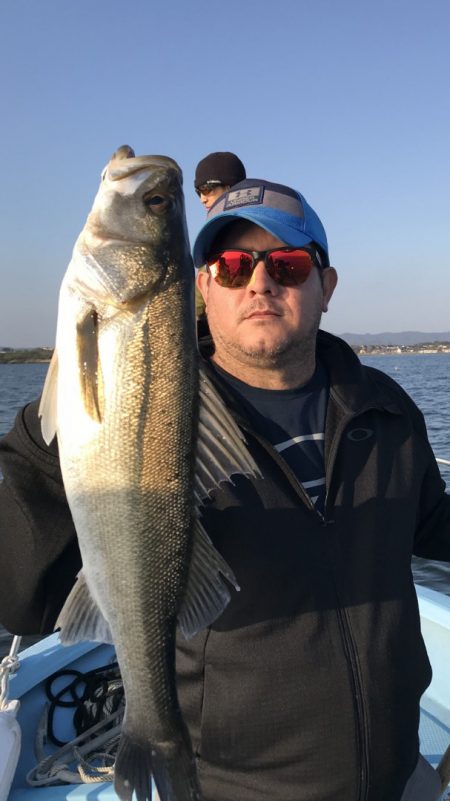 アマテラス 釣果