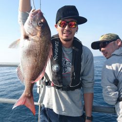 ARCADIAⅡ (アルカディアⅡ) 釣果