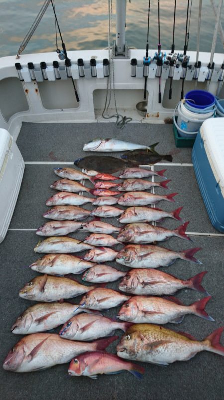 ARCADIAⅡ (アルカディアⅡ) 釣果