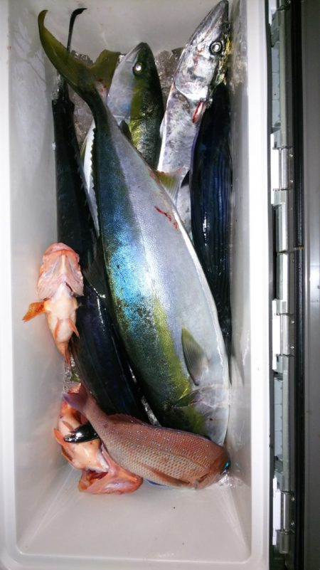 第二龍勢丸 釣果