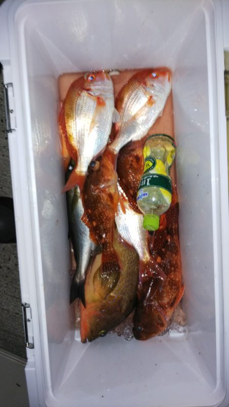 第二龍勢丸 釣果