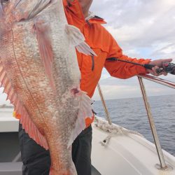 だて丸 釣果