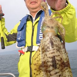 シースナイパー海龍 釣果
