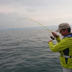 シースナイパー海龍 釣果