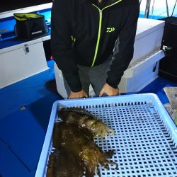 第三共栄丸 釣果