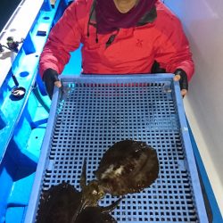 第三共栄丸 釣果