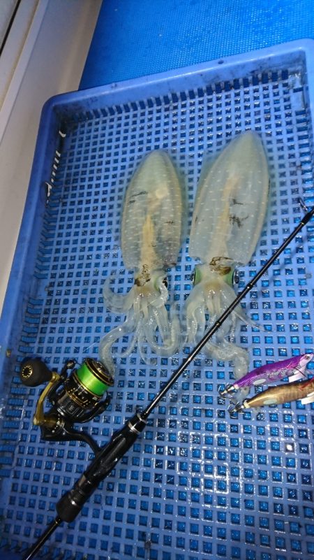 第三共栄丸 釣果